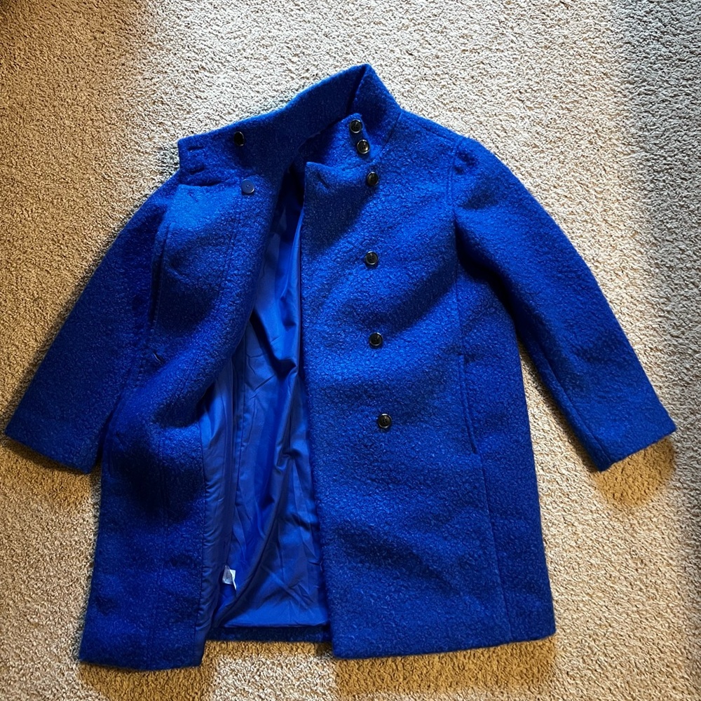 LOFT Royal Blue Teddy Jacket - Picture 9 of 15